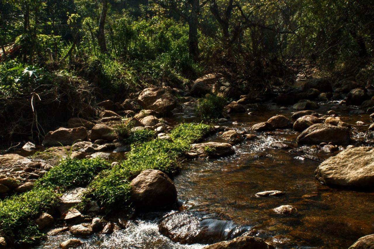 Zacs Valley Resort, Resort
