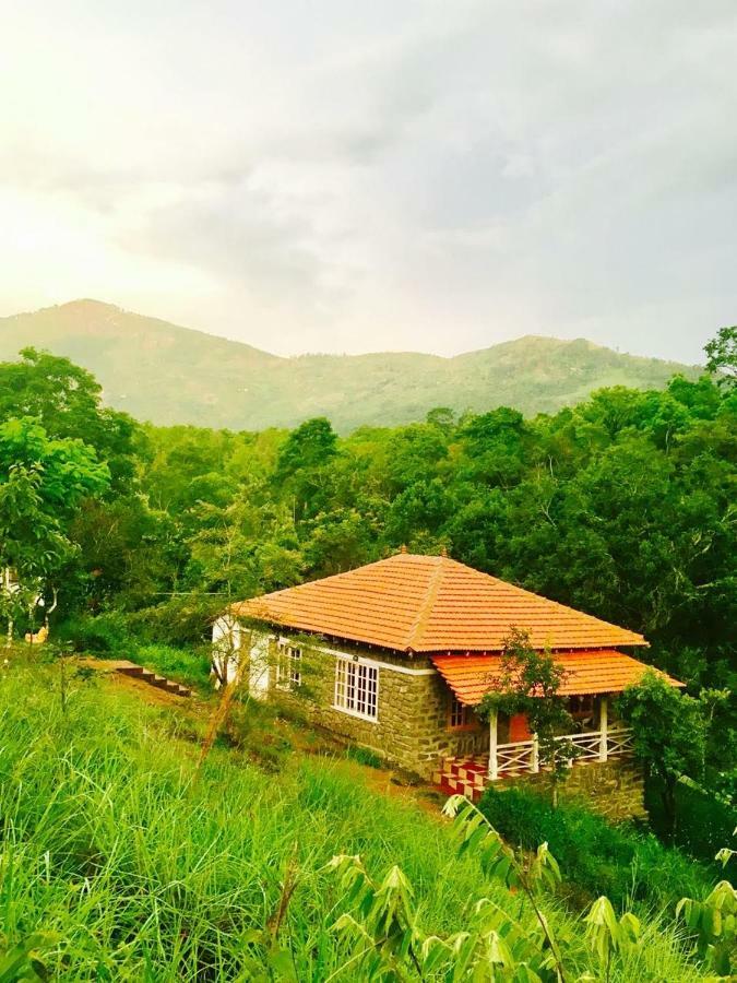 Zacs Valley Resort, Resort