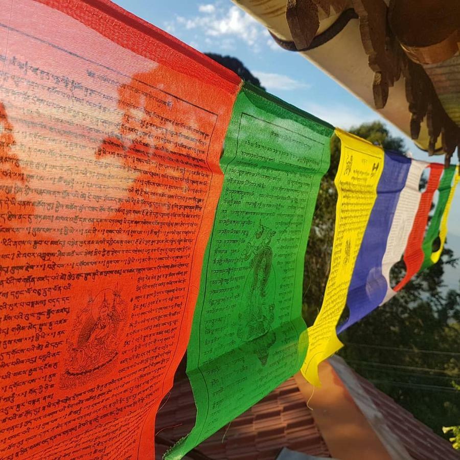 Dostel: Backpacker Kodaikanal