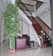 Fabhotel Green Forest Kodaikanal Lake Hotel