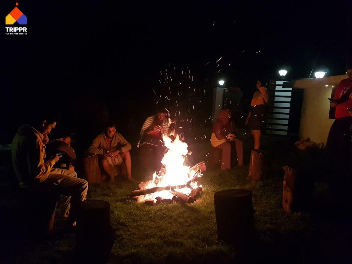 Hostel Trippr Backpacker