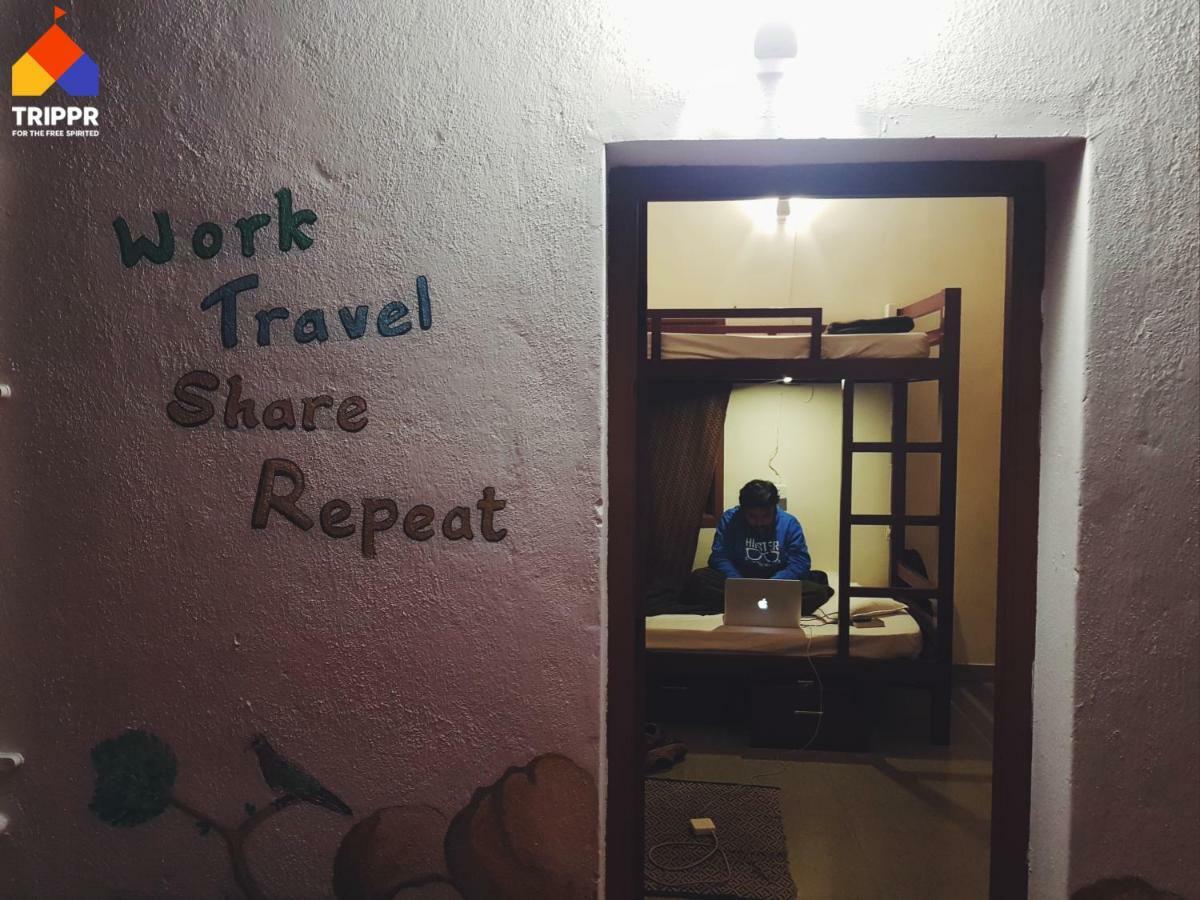 Trippr Backpacker Hostel
