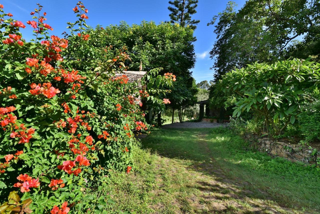 Saffronstays Nandanvan Estate,