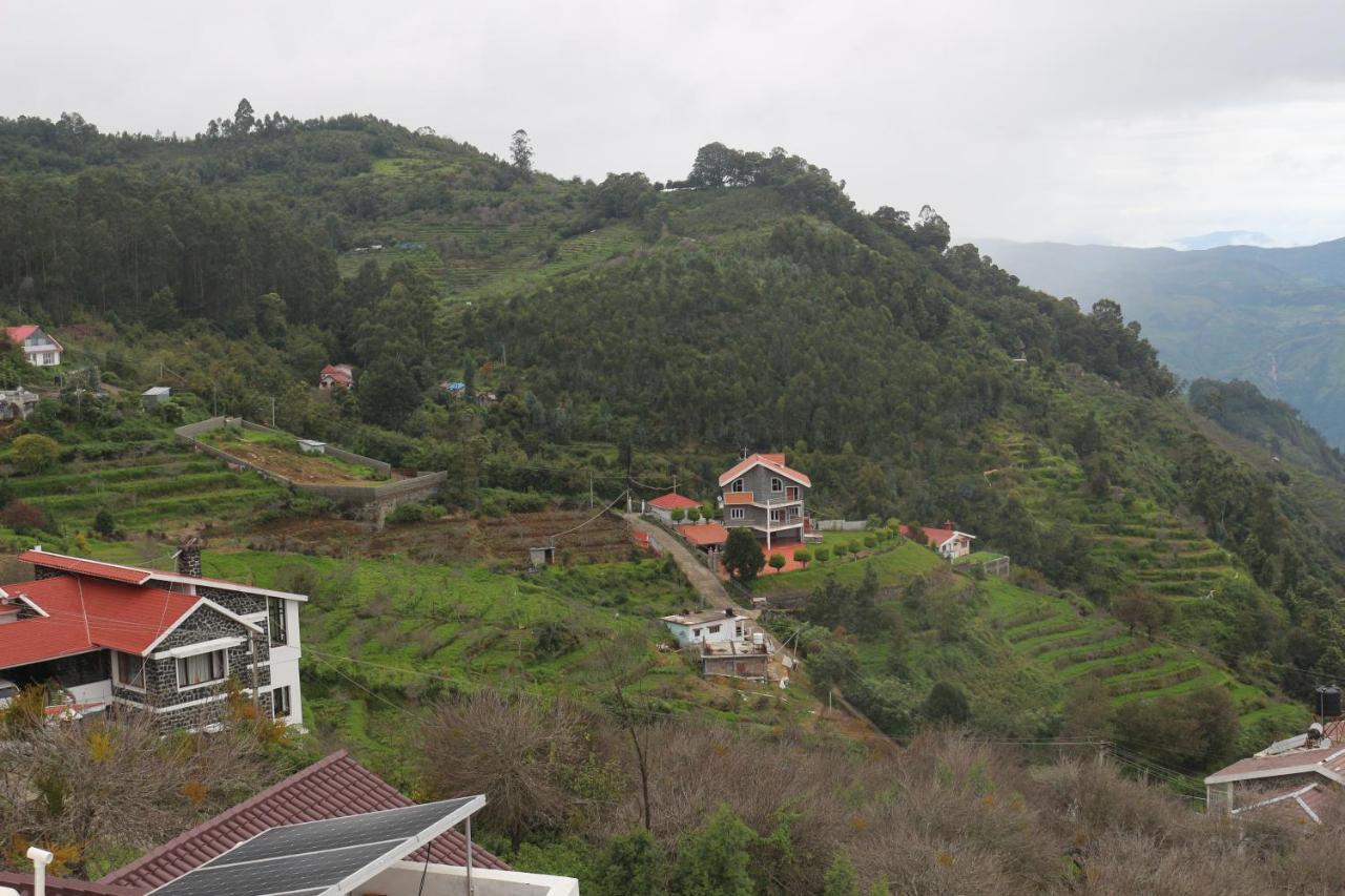 Kasa Luxury Homestay *