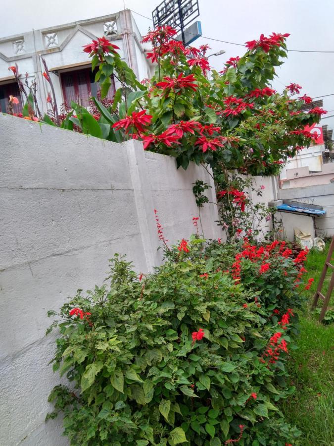 Hotel Ganapathy Garden Homestay Kodaikanal