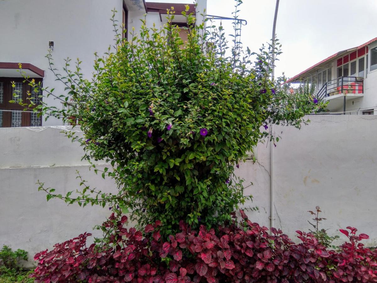 Ganapathy Garden Homestay Hotel Kodaikanal