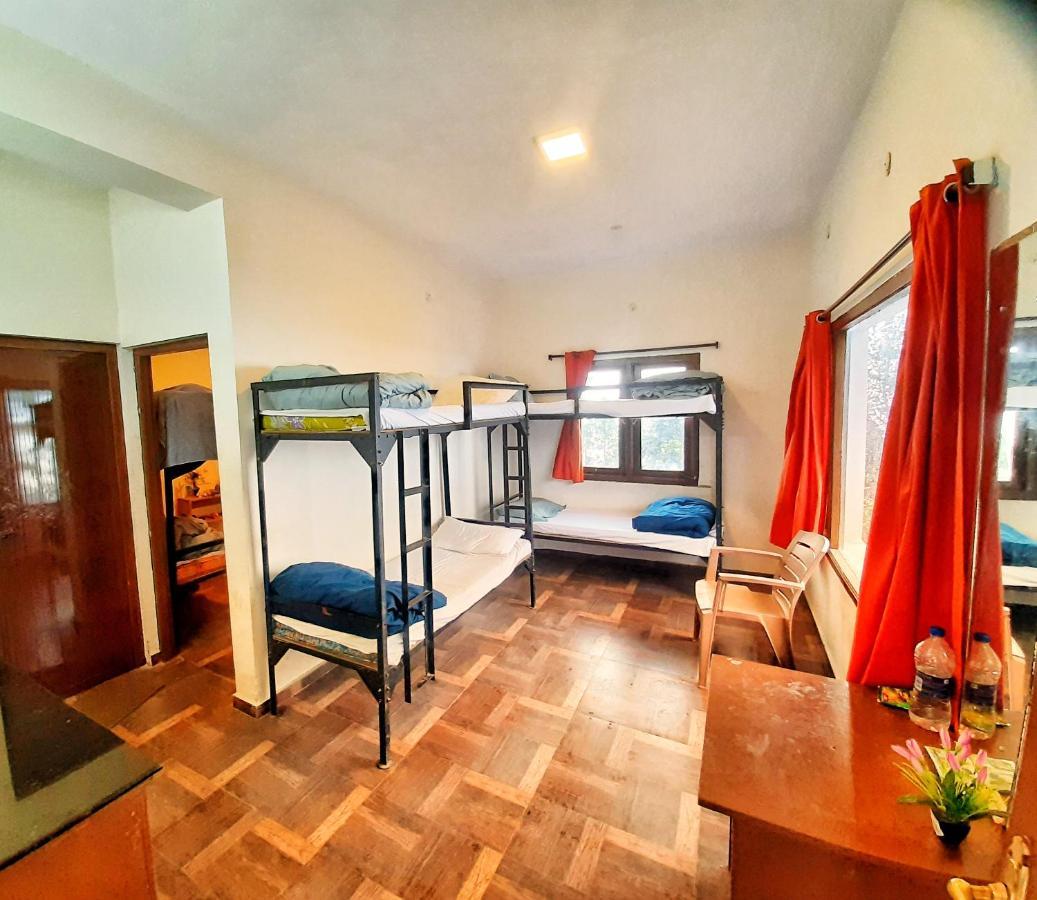 Hostel Dostel: Backpacker