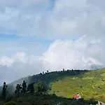 The Great Travel Diaries