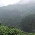 Welcome Back Kodai Cottages