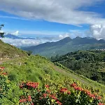 Kodaikanal Dinosaur Park And Resorts, Mannavanur