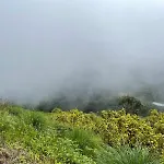 Kodaikanal Dinosaur Park And Resorts, Mannavanur