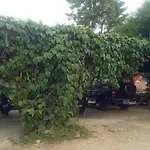 Shreyas