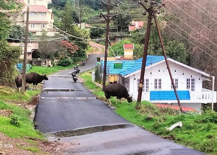 Western Ghats Homestay