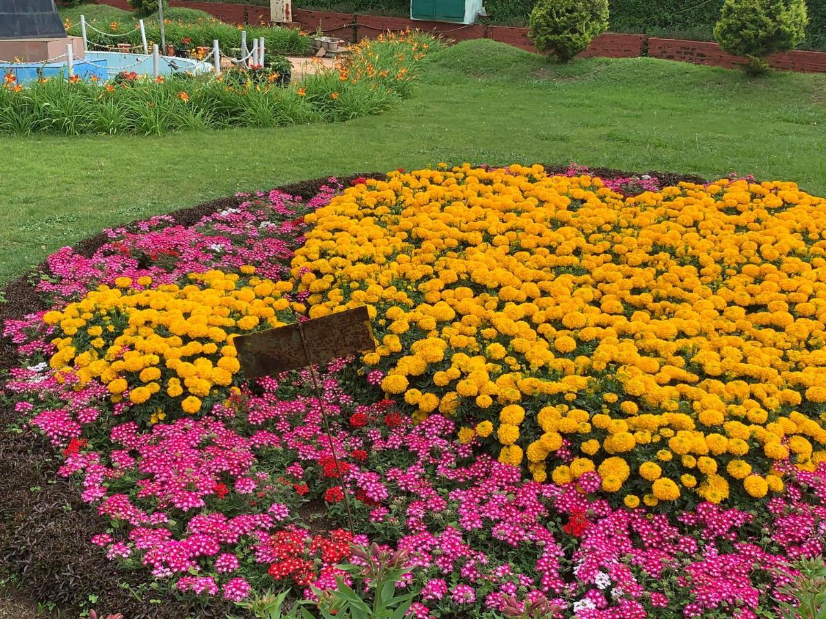 Hotel Kodai Pinetree Residency