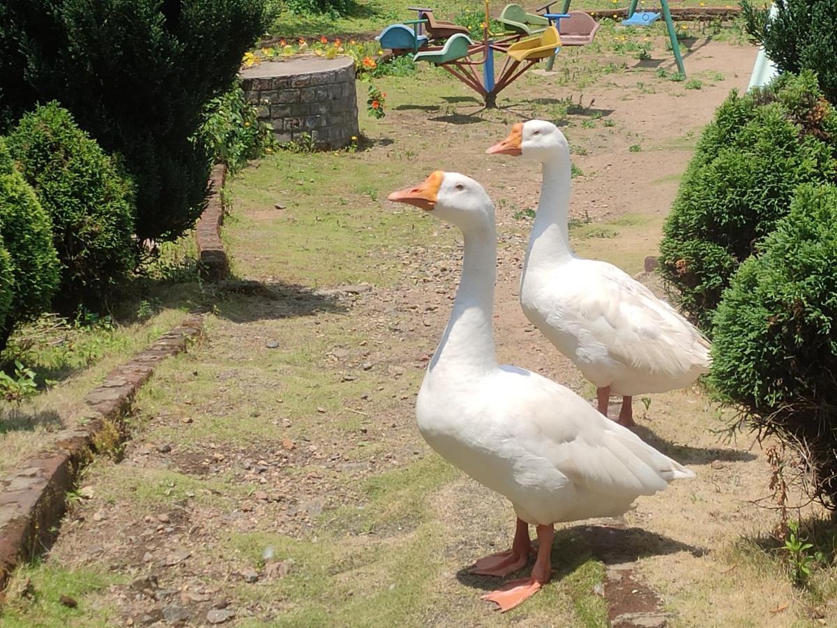 Jem Valley Resort Kodaikanal