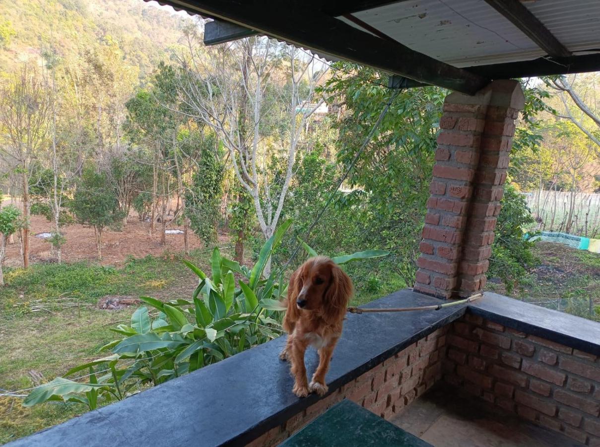 Wonderland Falls And Farm House Kodaikanal