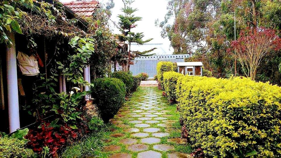 Homestay Abu Residency Kodaikanal