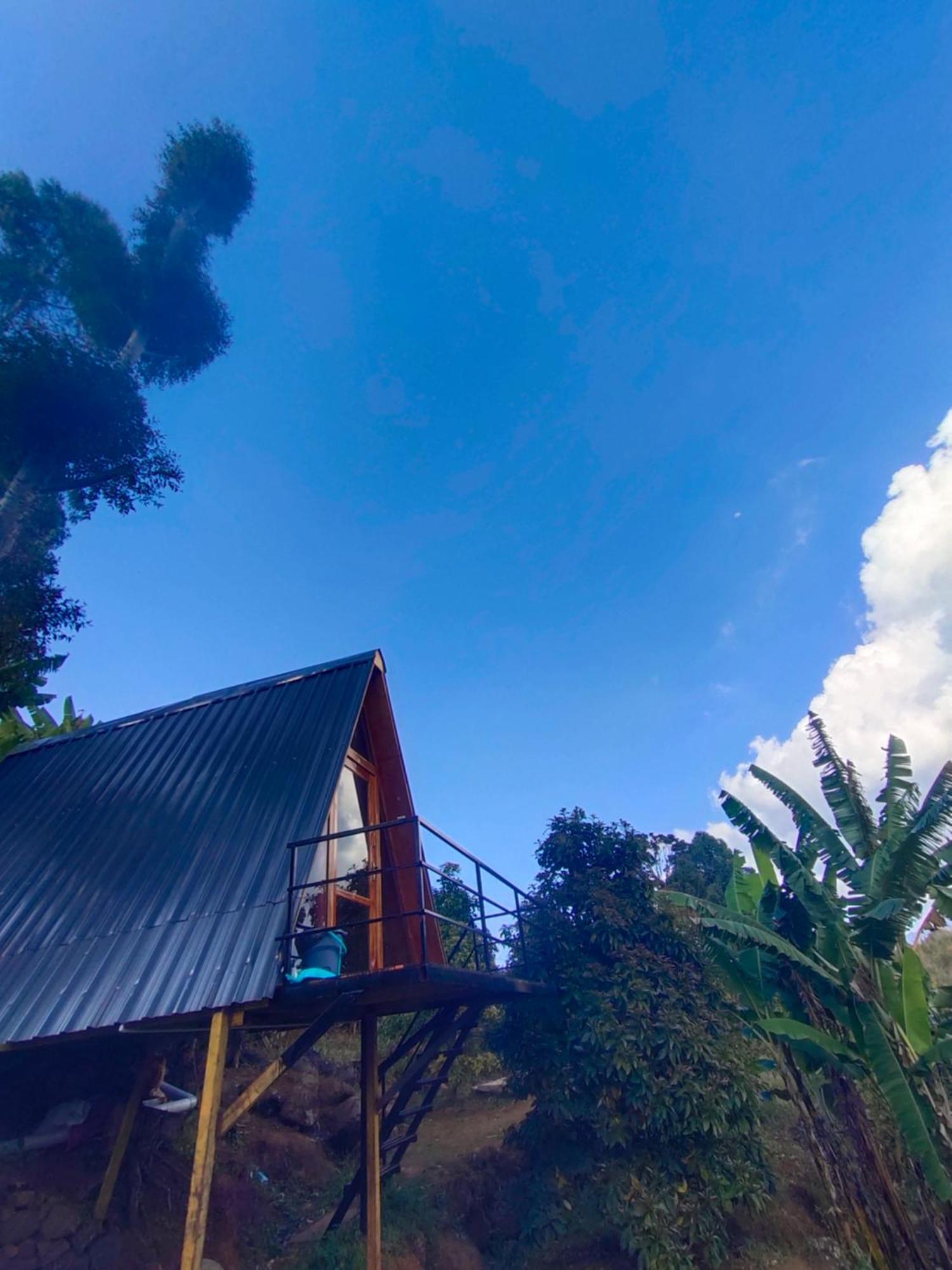 Papathi Farm stay Kodaikanal