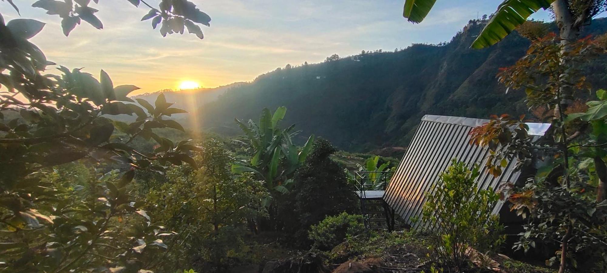 Farm stay Papathi Kodaikanal