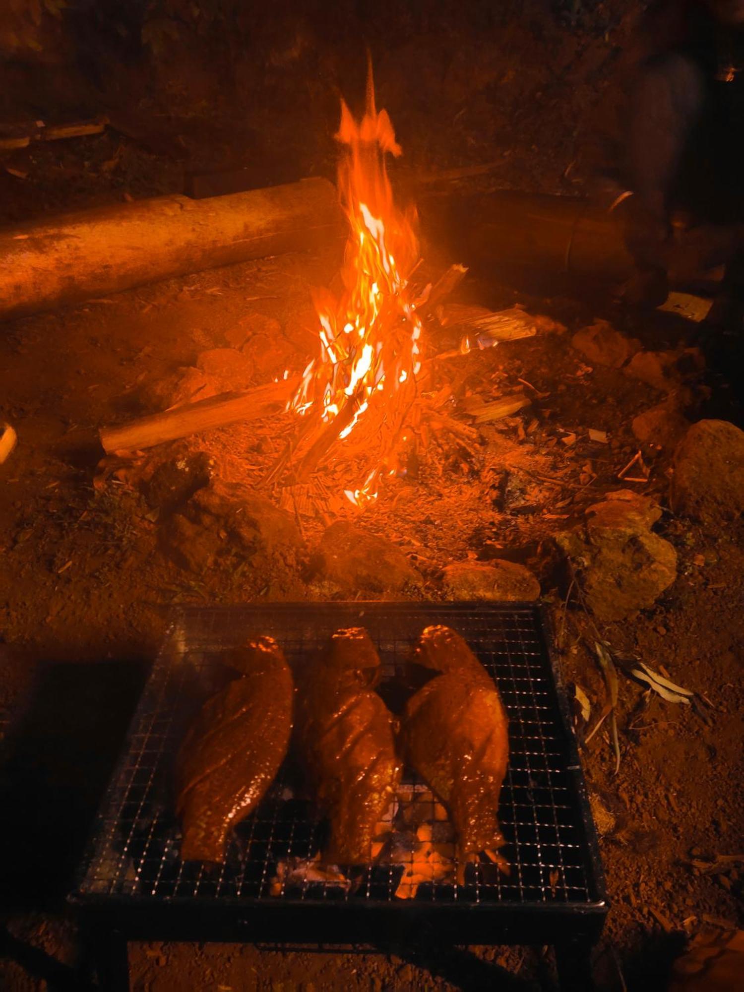 Papathi