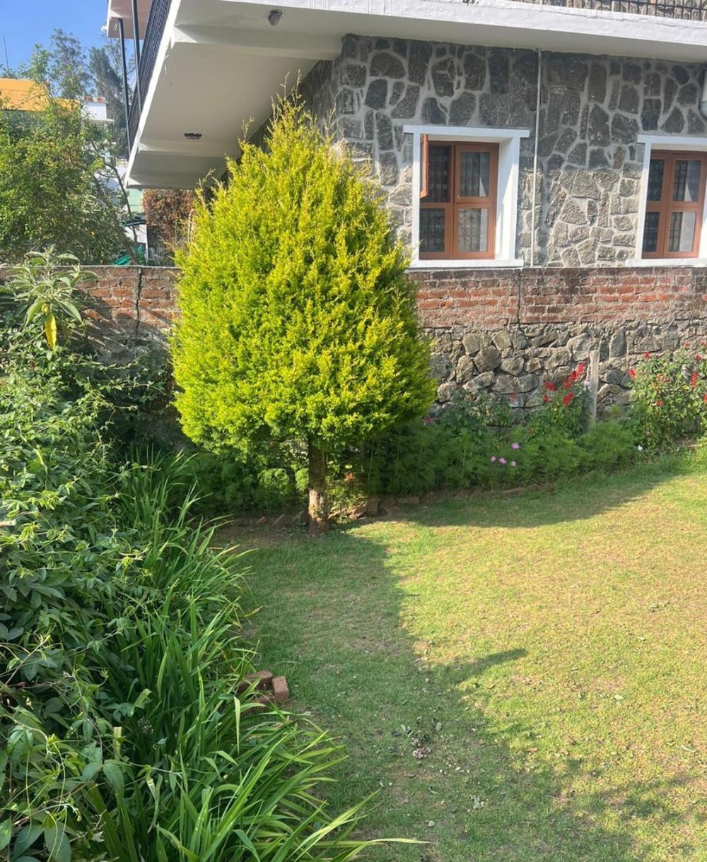 Kodai *