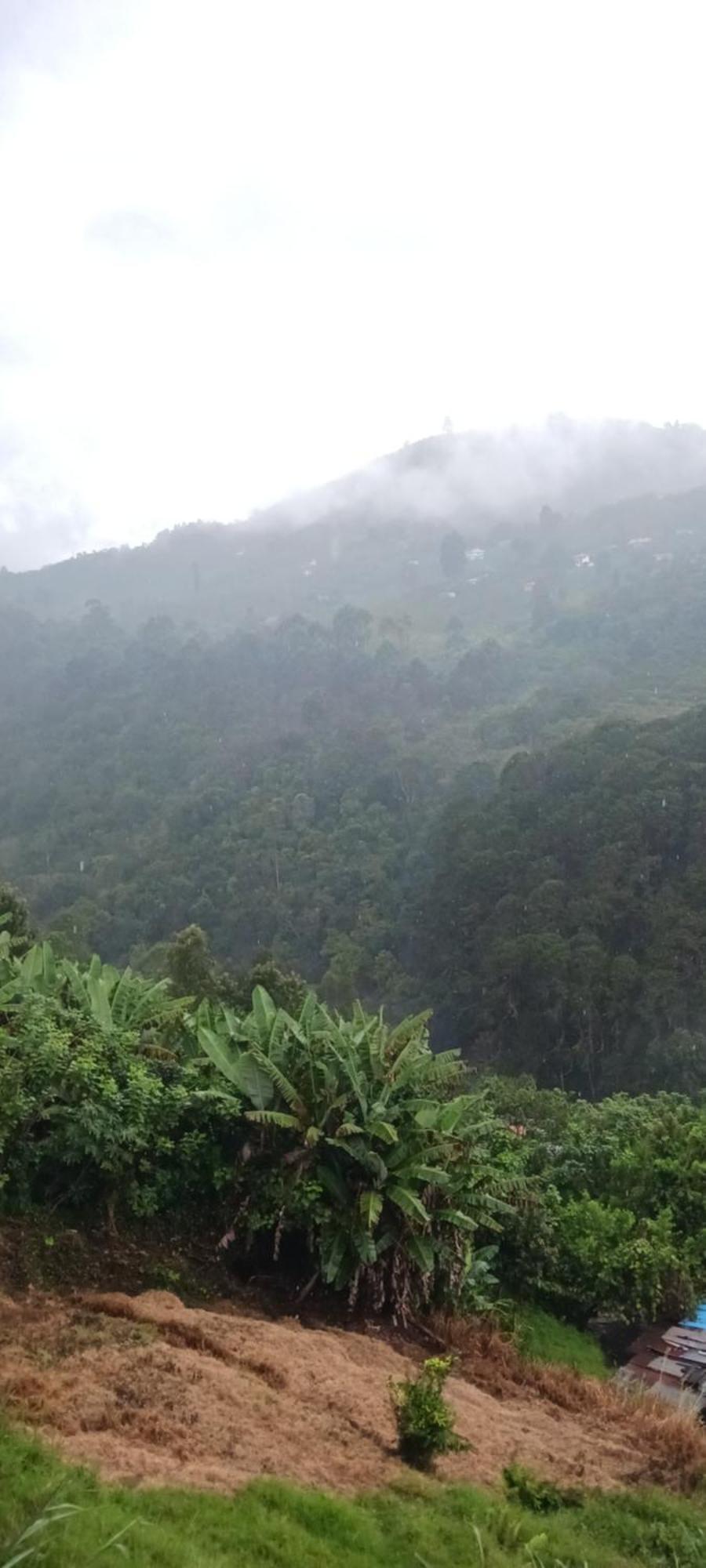 Homestay Welcome Back Kodai Kodaikanal