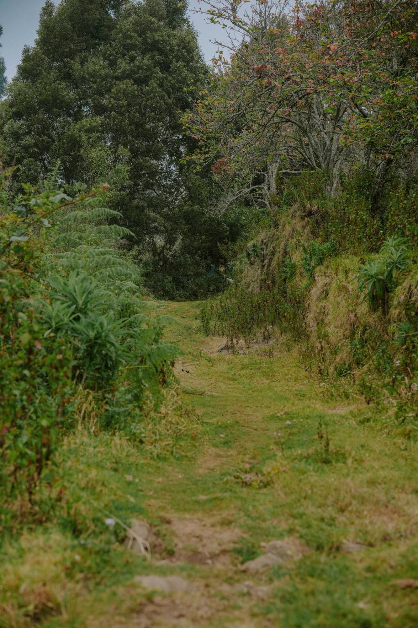 Homestay Frozen Monks Kodaikanal