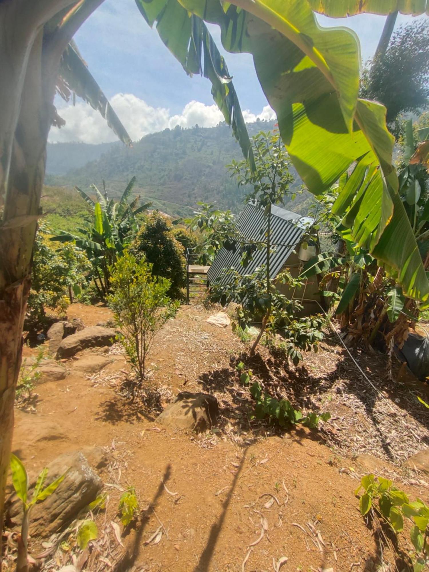 Papathi Farm stay Kodaikanal