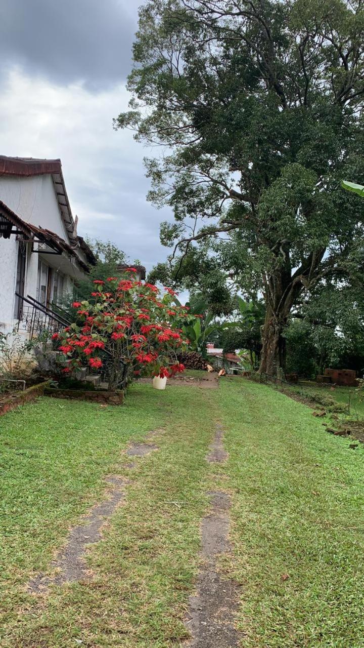 Remas And Adventure Park Resort