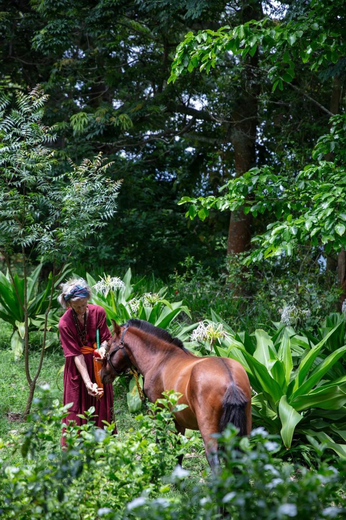 Isla's Ridge - A Cgh Earth Saha Experience *