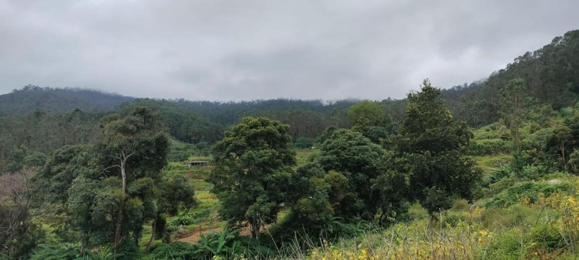 Dinosaur Park And Resorts, Mannavanur * Kodaikanal