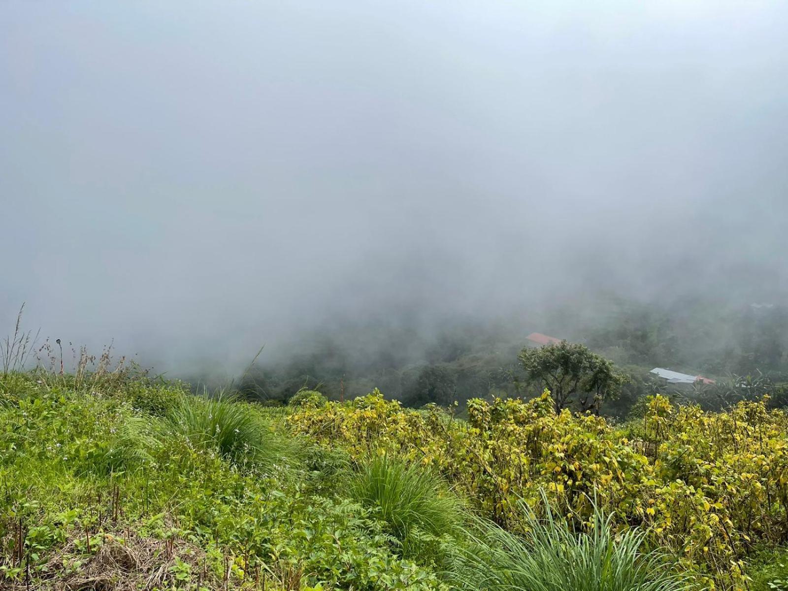 Luxury tent Dinosaur Park And Resorts, Mannavanur Kodaikanal
