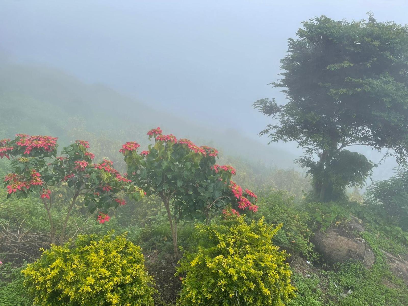 Dinosaur Park And Resorts, Mannavanur * Kodaikanal