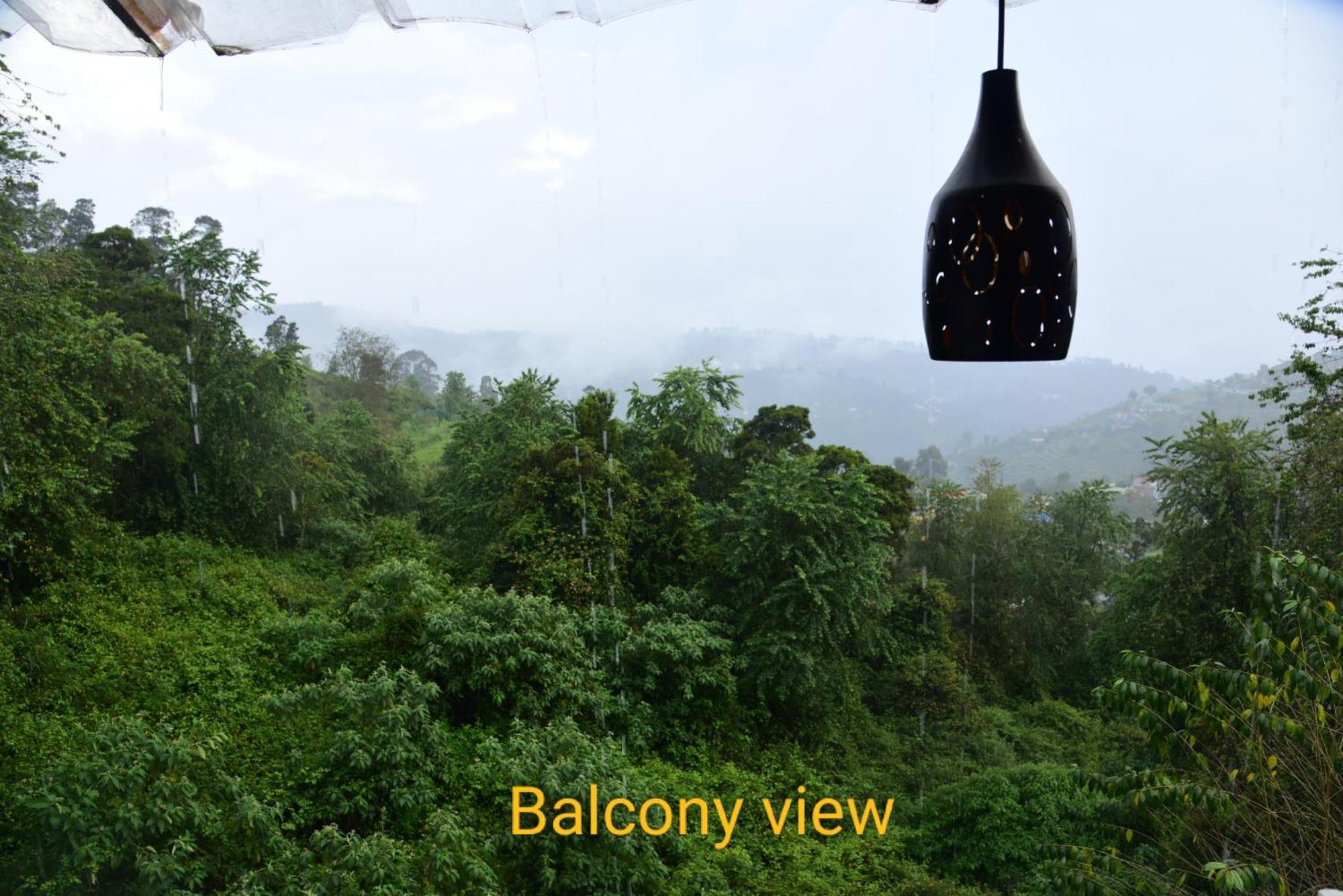 Homestay Western Ghats Homestay *