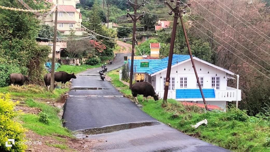 Homestay Western Ghats Homestay