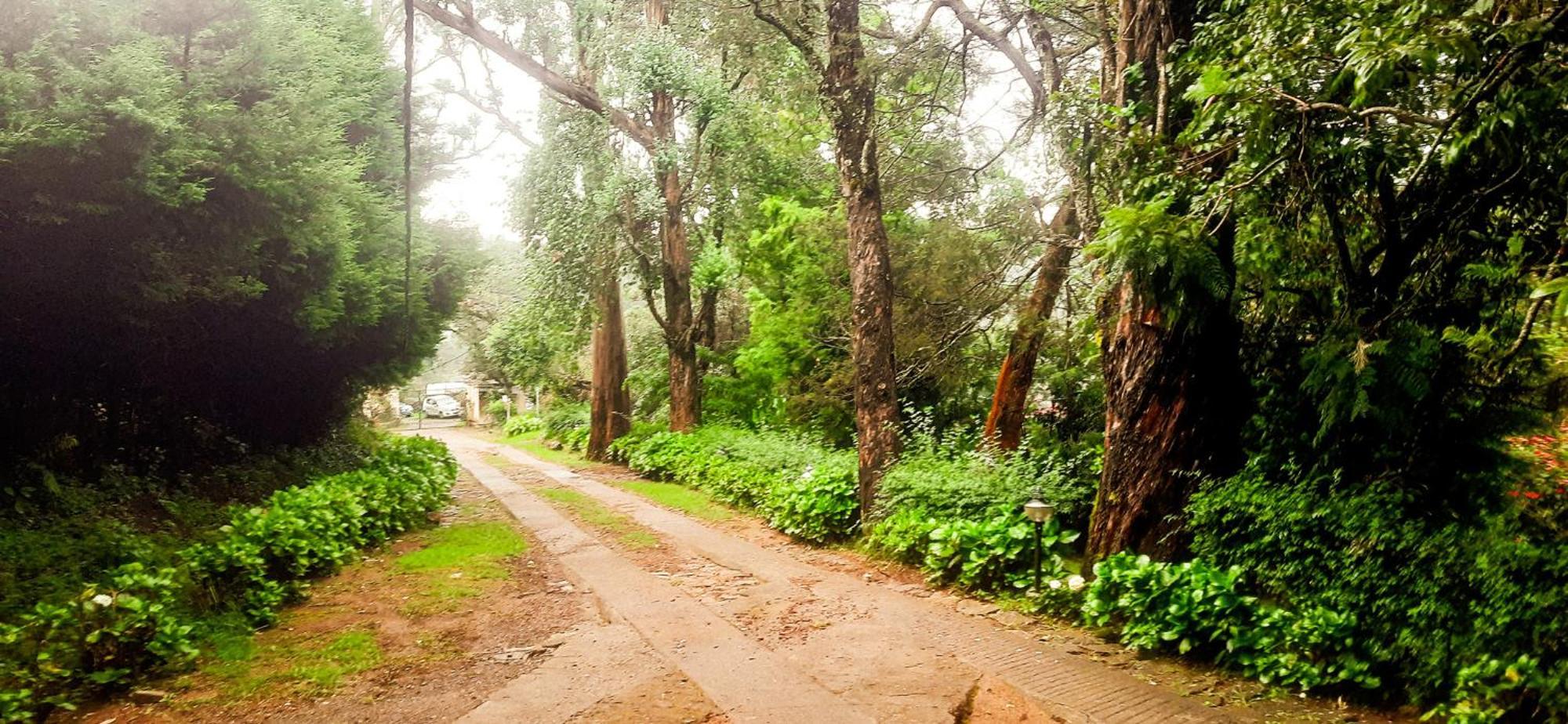 Homestay Happyhuts At Valley View Kodaikanal