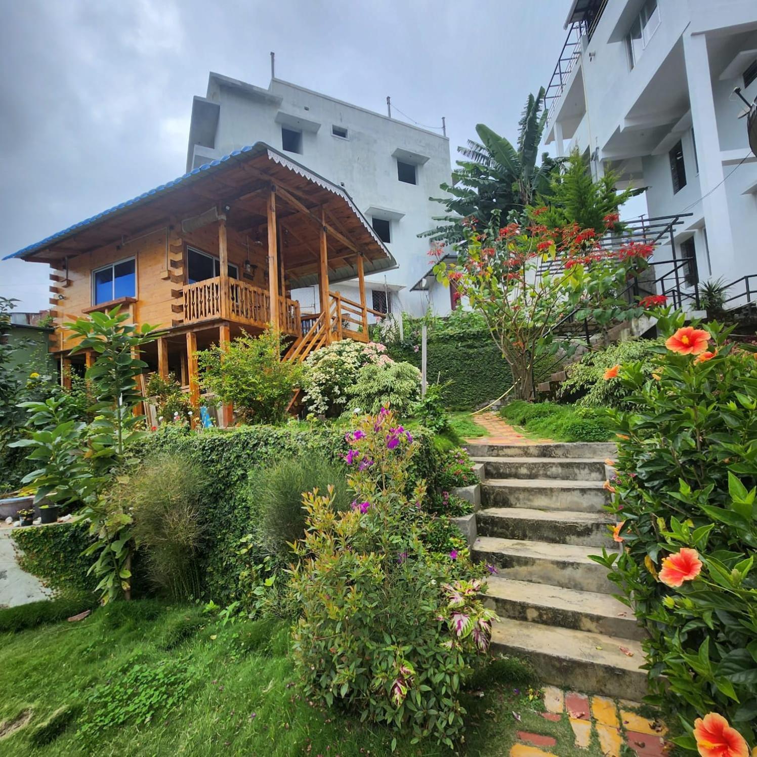 Homestay Leaf Colour *