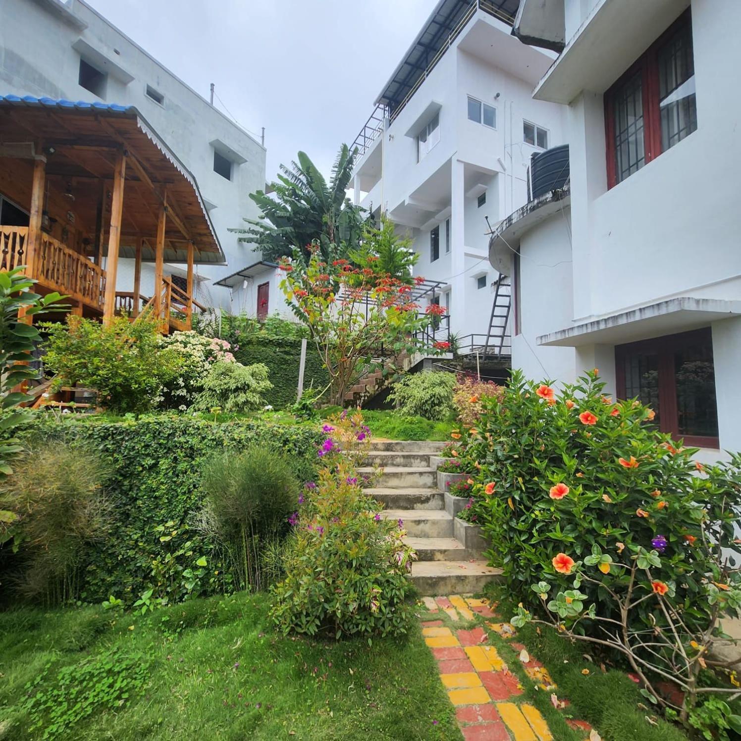 Homestay Leaf Colour