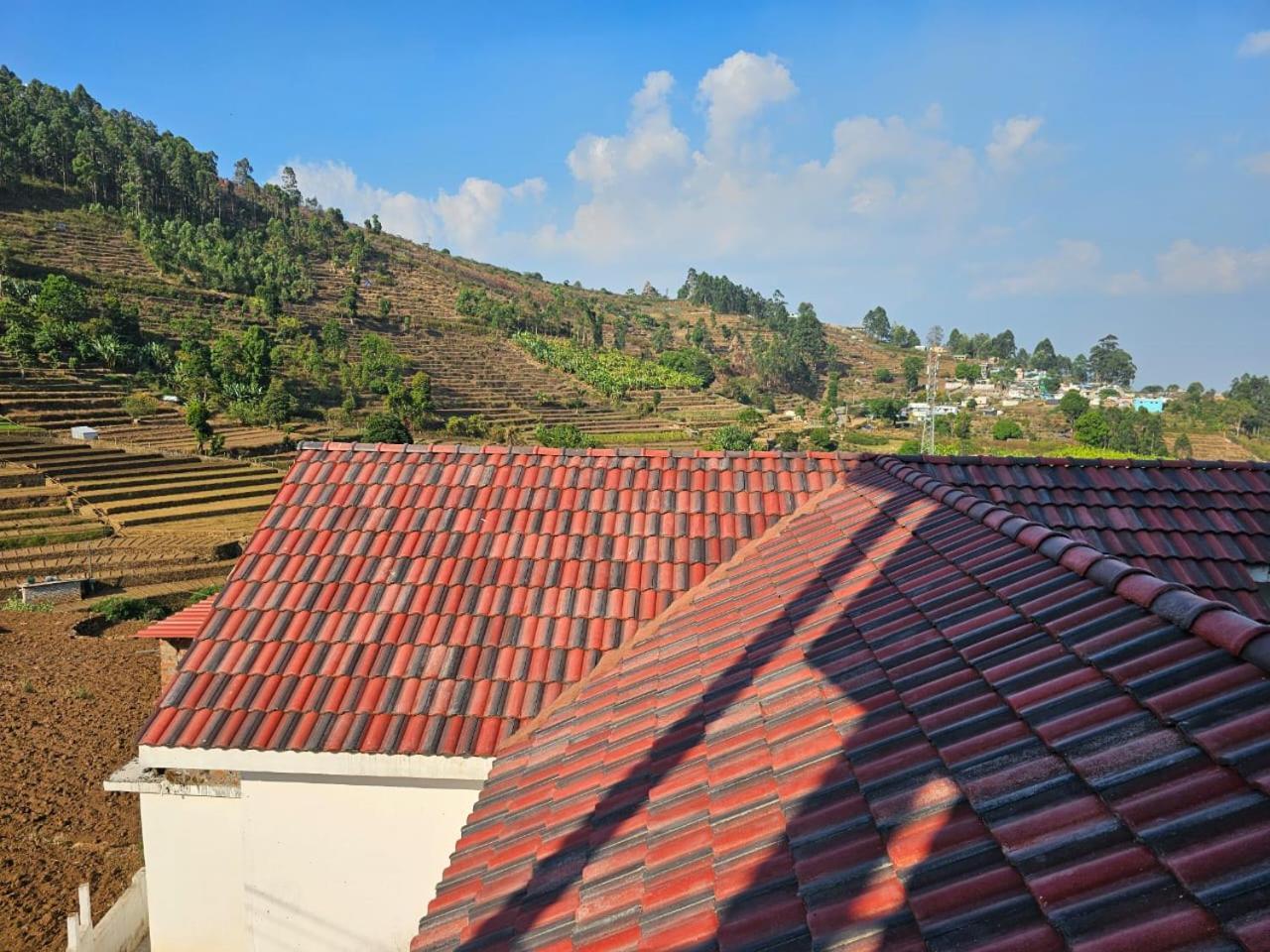 Leaf Colour Homestay