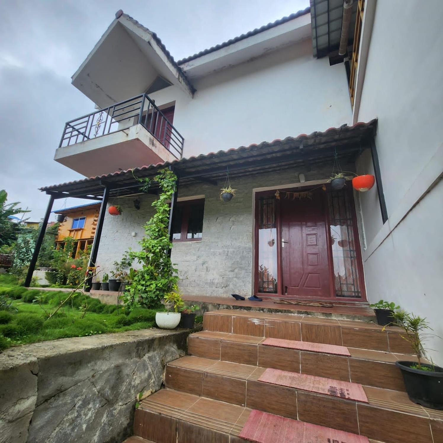 Homestay Leaf Colour *