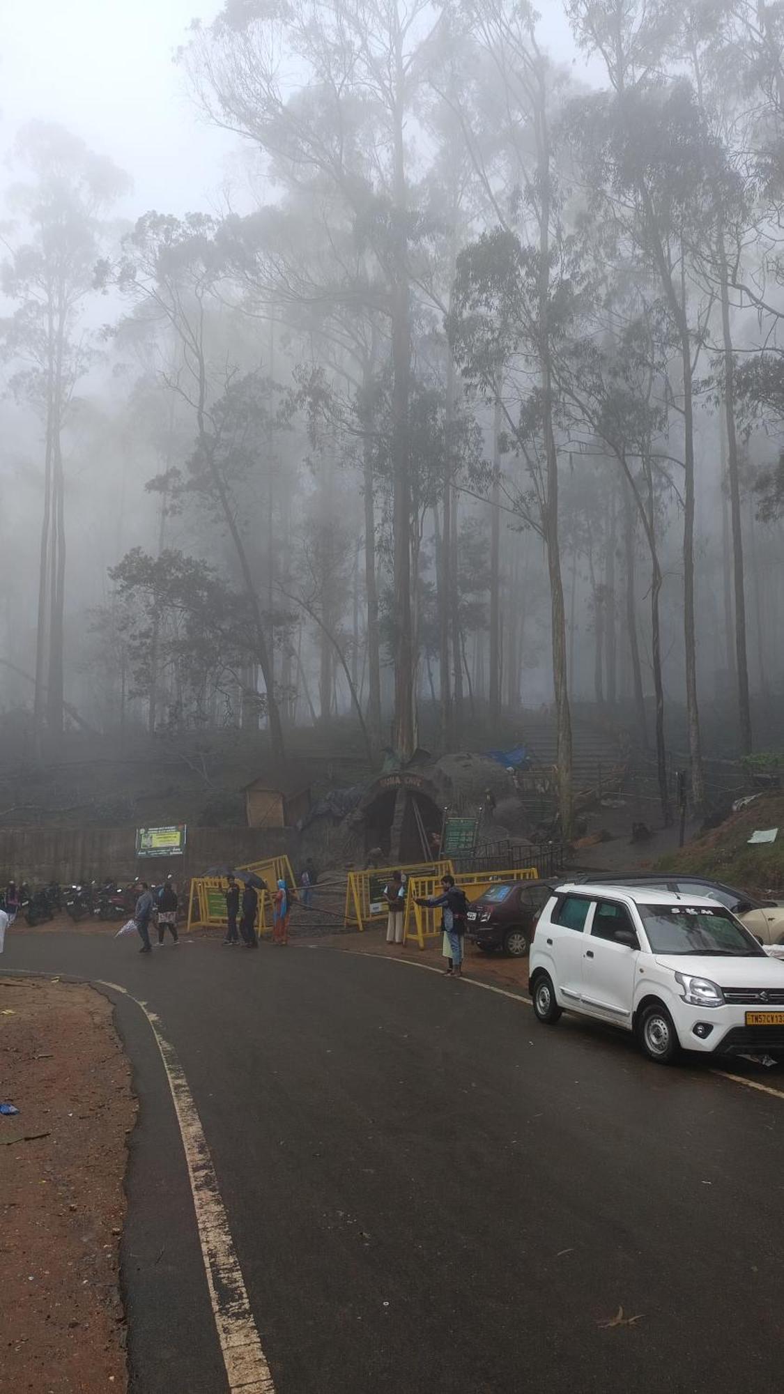 Villa Kodai Riya Paradise *
