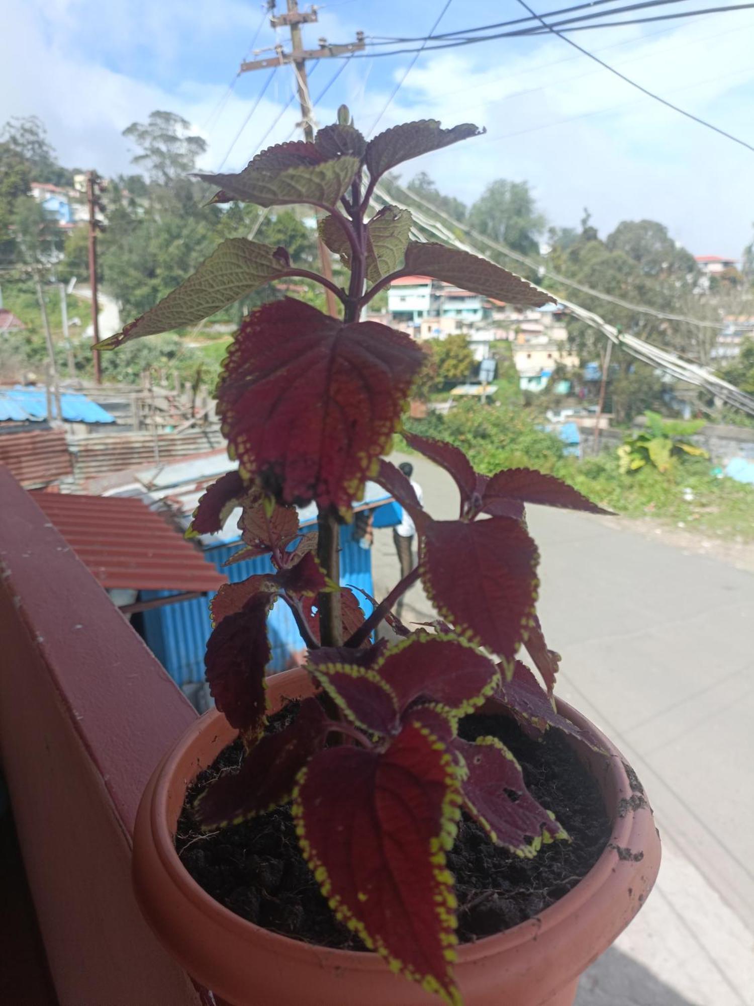 The Right To Way Holidays Homestay *