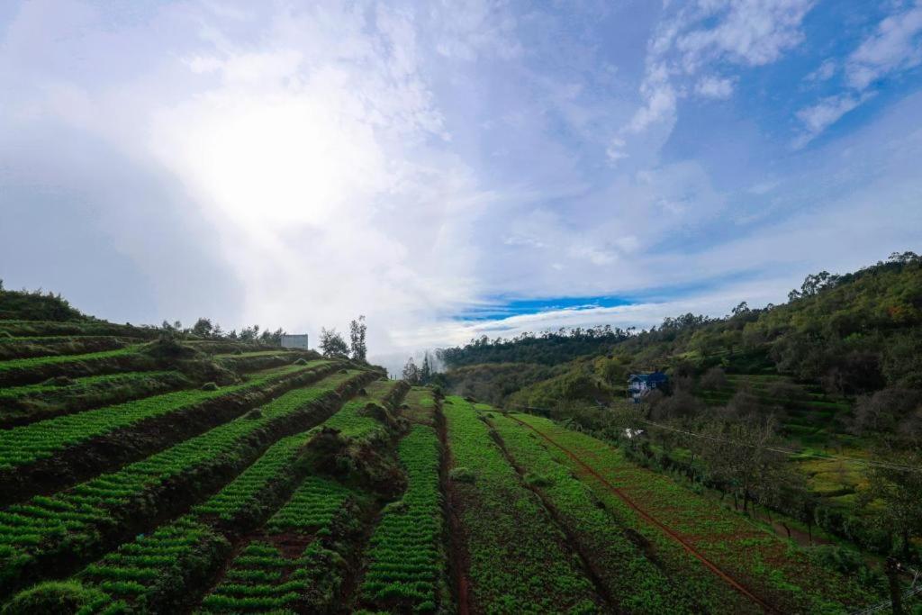 Hotel Starlight Kodai 2*