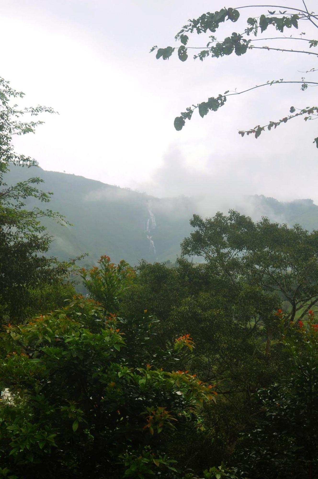 Cozy At Kombai - Pallangi, Kodaikanal