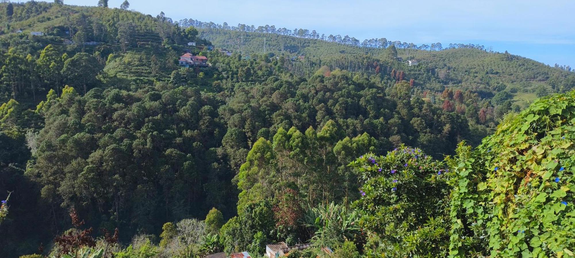 Kodai Misty Bed & Breakfast Kodaikanal