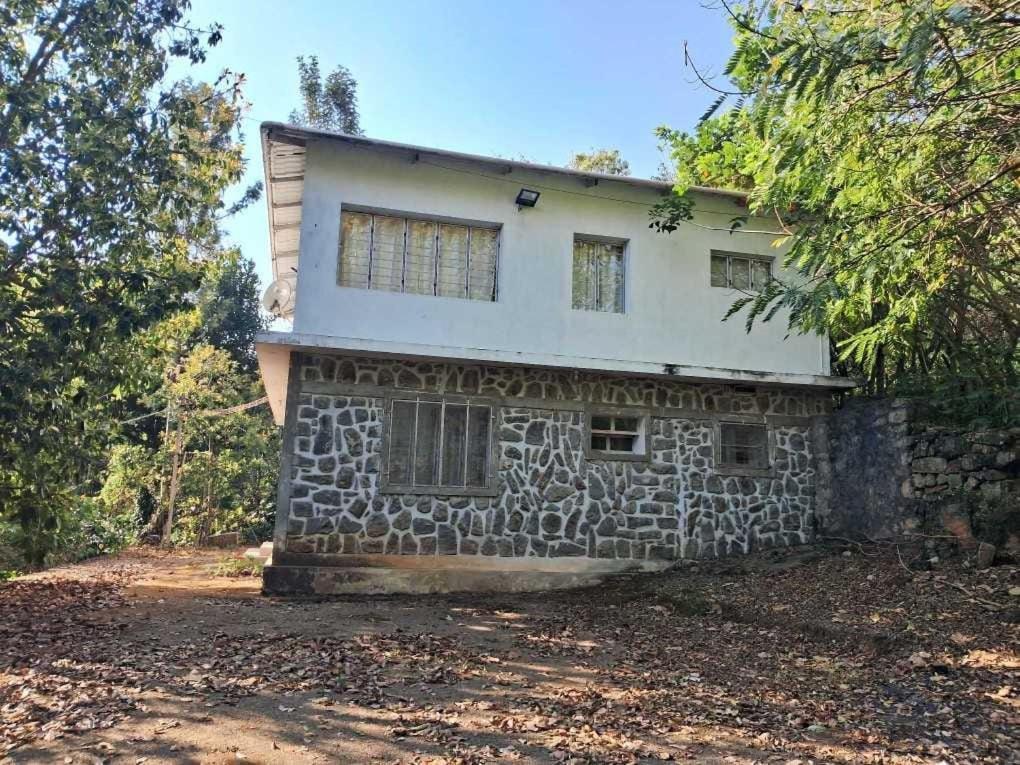 King Of Jungle Retreat
