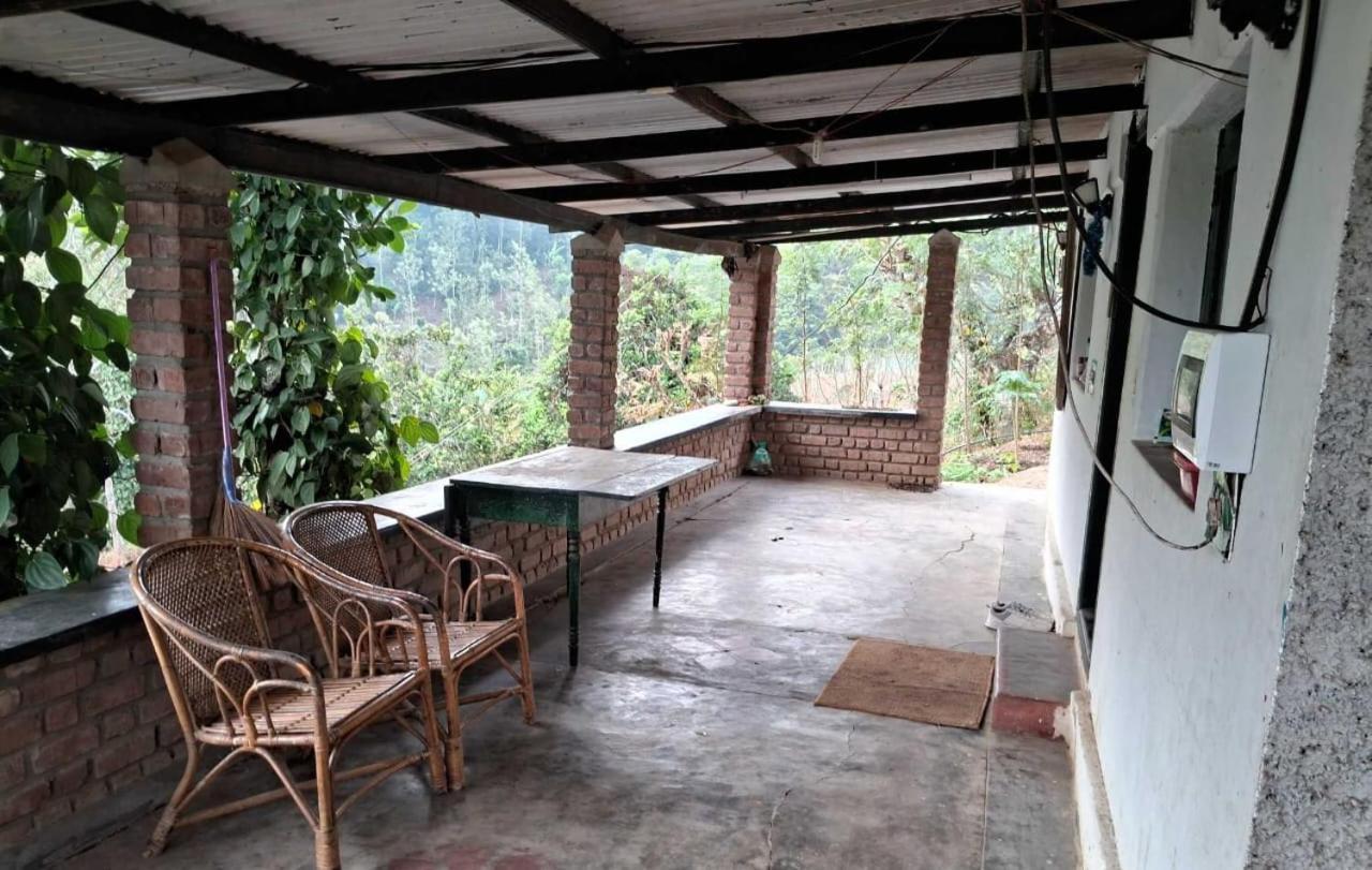 Villa King Of Jungle Retreat