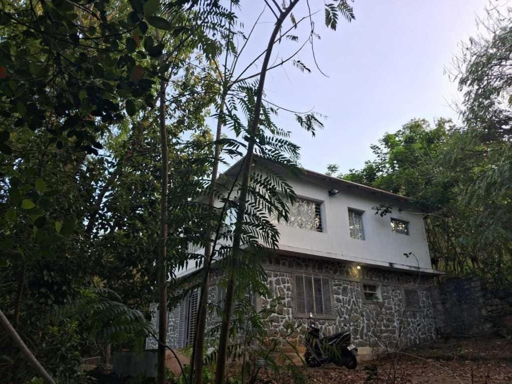 King Of Jungle Retreat Villa *
