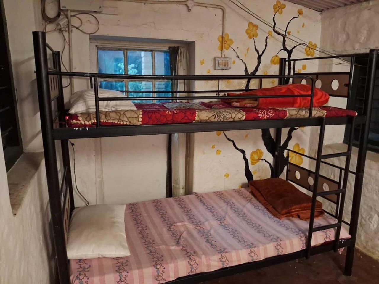 King Of Jungle Retreat * Kodaikanal