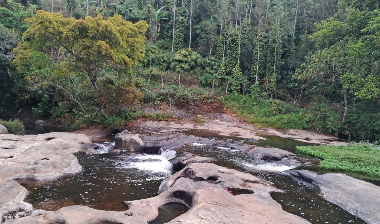 Villa King Of Jungle Retreat